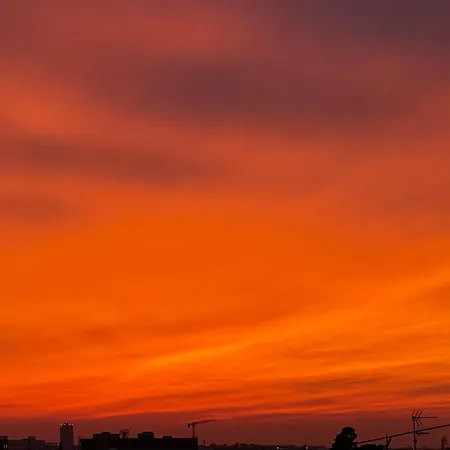 Angela's Sunset - Aya Napa
